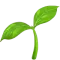 Актуальные методы SEO